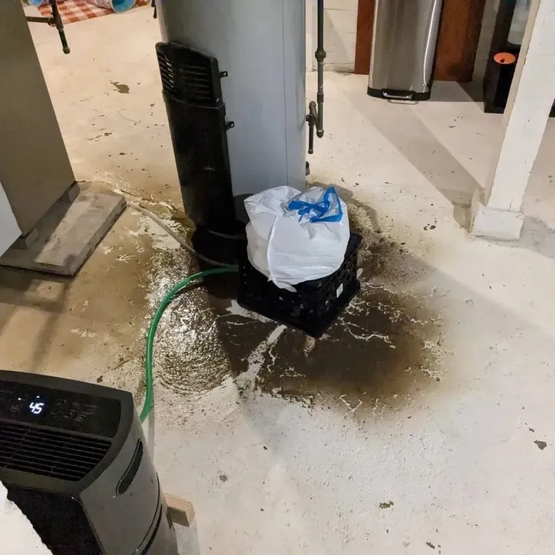 Sewage Backup Cleanup Service in Jermyn, PA